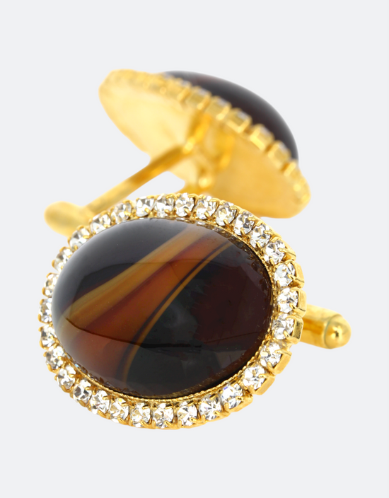 Vintage Beetle Back/